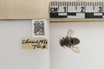 Media type: image;   Entomology 790986 Aspect: Labels